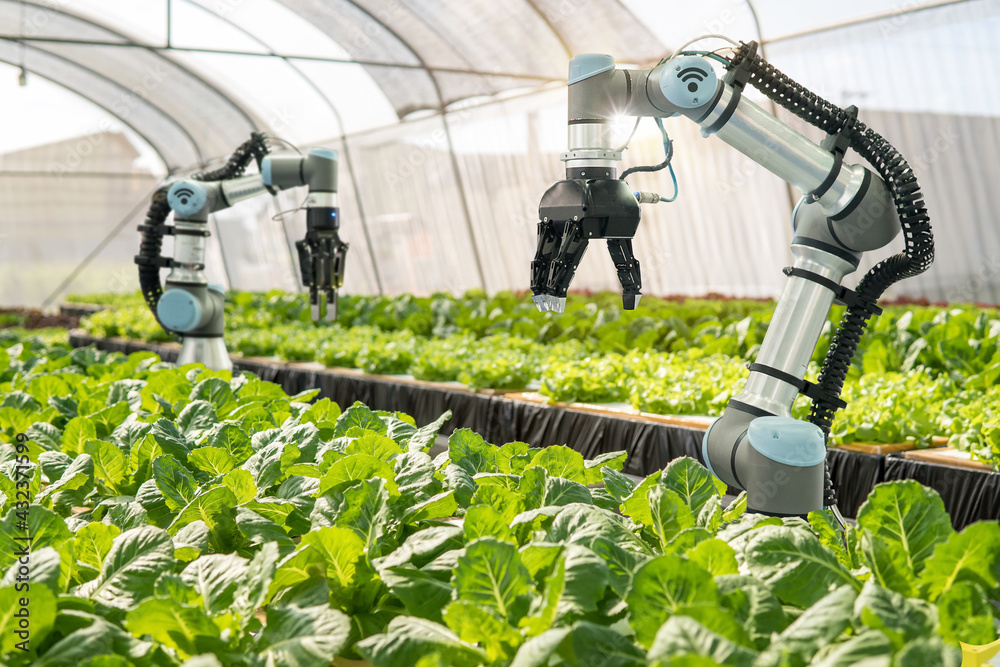 robotic_farm